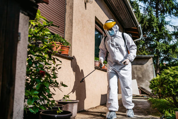 Best Best Pest Control Companies  in North Hornell, NY