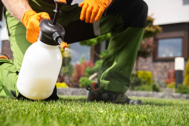 Trusted North Hornell, NY Pest Control Experts